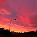 Sunset and fence