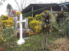 Une croix dans la nature / Una cruz en la naturaleza