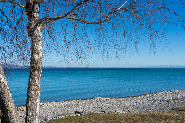 Bodensee ... beim 'Konstanzer Trichter' bei Kreuzlingen (© Buelipix)