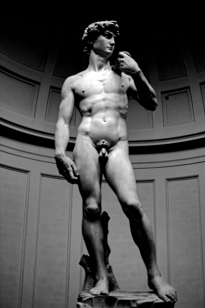 Florence Galleria dell Accademia 2 David XPro1 mono
