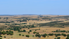 Alentejo perto de Castro verde