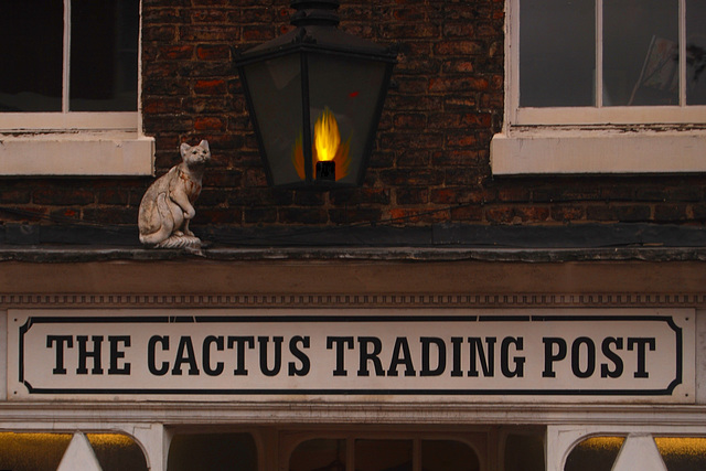 The Cactus Trading Post