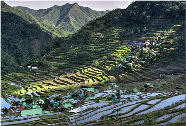 Rice Terraces, Banaue, Philippines