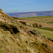 Cown Edge view North