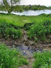 Via Turonensis - Loire