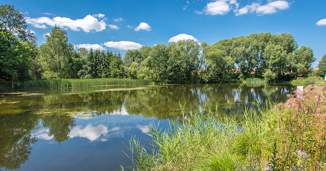 Heinzigteich (Landesgartenschau Oelsnitz/Erz.)