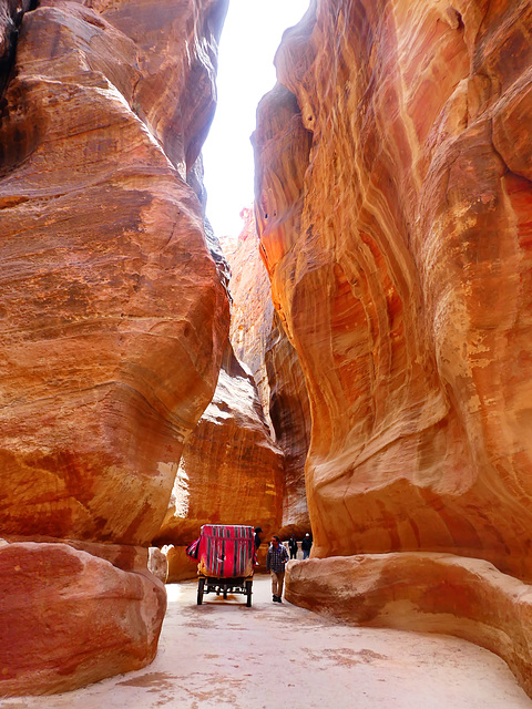 Nel siq - Petra