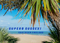 SUPERB SUSSEX - SOUTHERN ENGLAND!