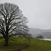 A grey day in Cumbria