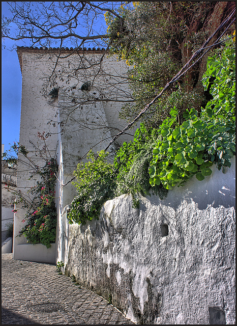 Casares