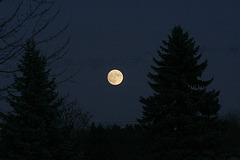 la grosse lune de novembre / november's big moon