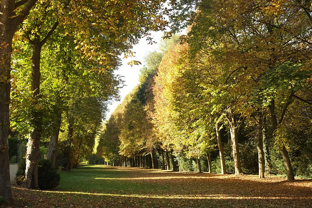 Parc du Château d'Epône