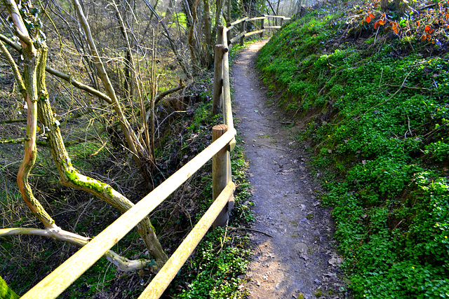 Dutch HFF Canyon