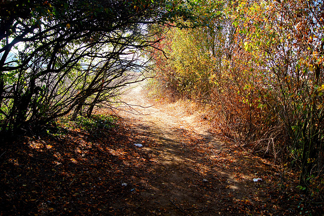 ... evasion d'octobre ...