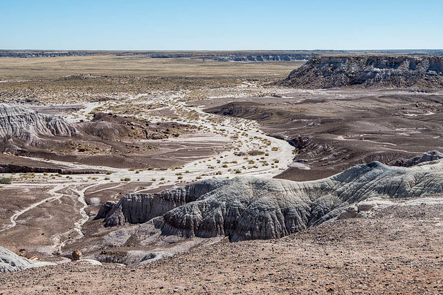 The painted desert24