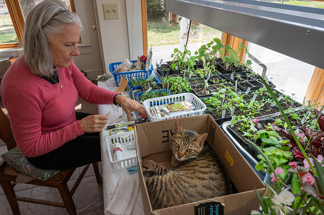 April 10: The Gardener's Assistant