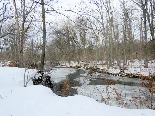 North branch of Clinton River, Ray Center, Michigan.