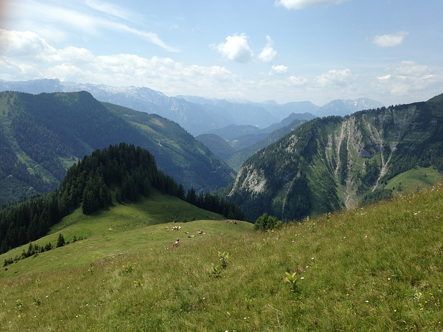 Alpen 2015 065