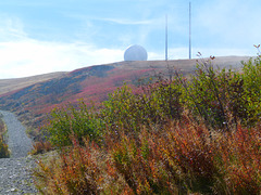 Berg  Le Grand Ballon  (Der Große Belchen)