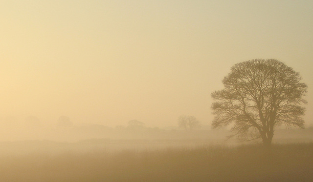 Foggy sunrise in the Vale of Pickering, North Yorkshire