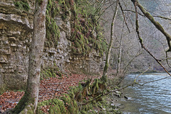 Die Wutachschlucht zwischen Wutachmühle u. Bachheim (01)