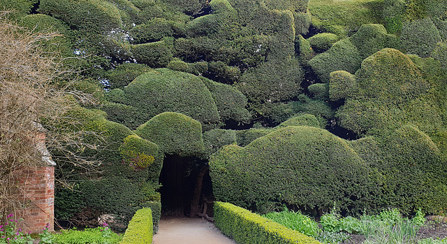 Cloud pruning