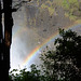 Zimbabwe, Victoria Falls, Rainbow in the Water Dust of Right Stream