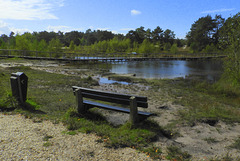 (Hbm) by the new bridge (Hbm) by the new bridge