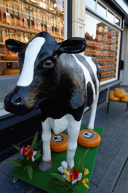 Fournisseuse de matière première pour fromages