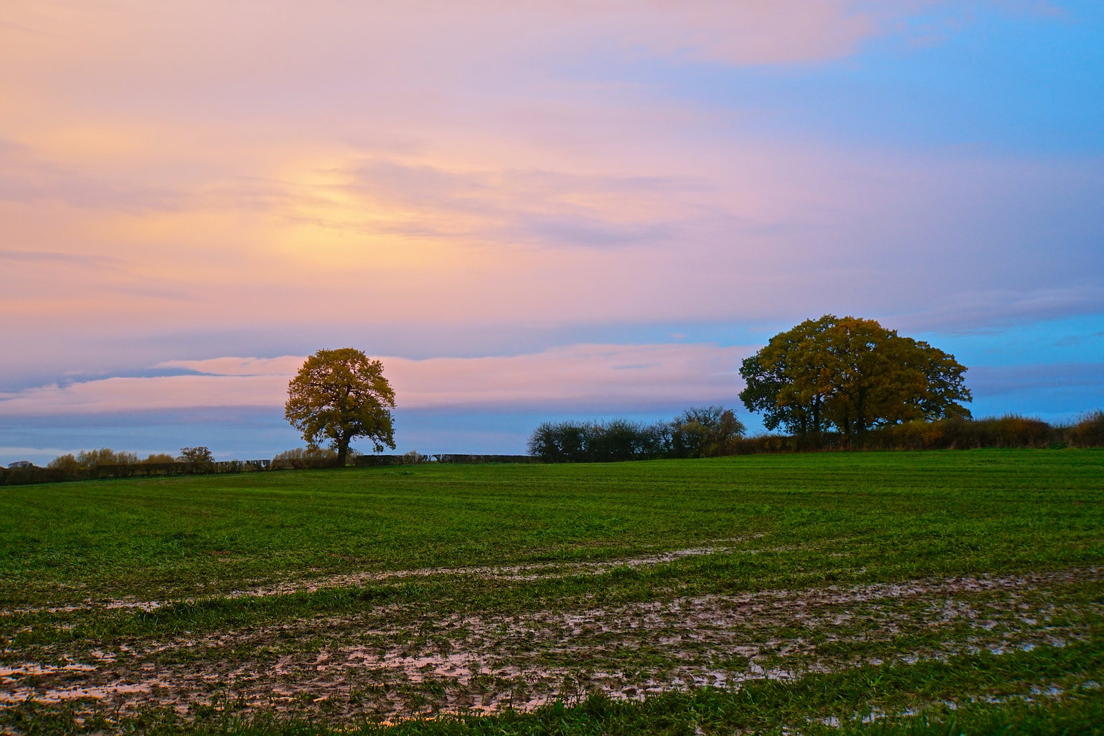 After the rain