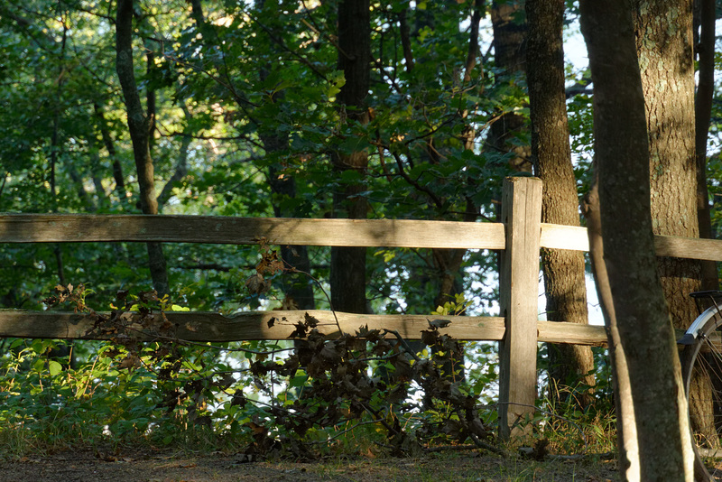 Fence Shadowplay