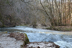 Die Wutachschlucht zwischen Wutachmühle u. Bachheim (02)