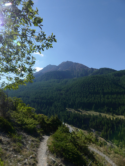 20220828 -11 Ubaye (Alpes de Haute Provence) (7)