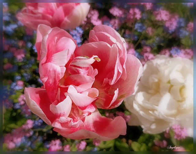 Belle journée mes ami(e)s !❤️