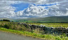 HWW Teesdale Co. Durham 16th September 2025