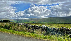 HWW Teesdale Co. Durham 16th September 2025
