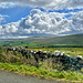 HWW Teesdale Co. Durham 16th September 2025