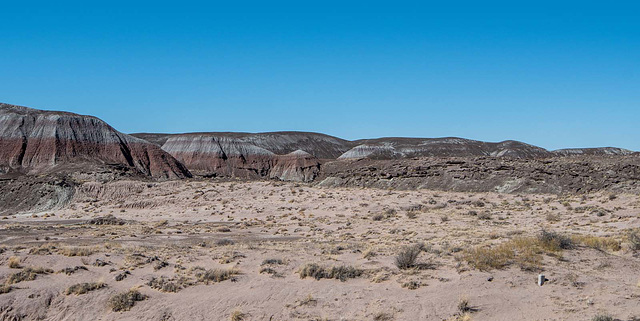 The painted desert30