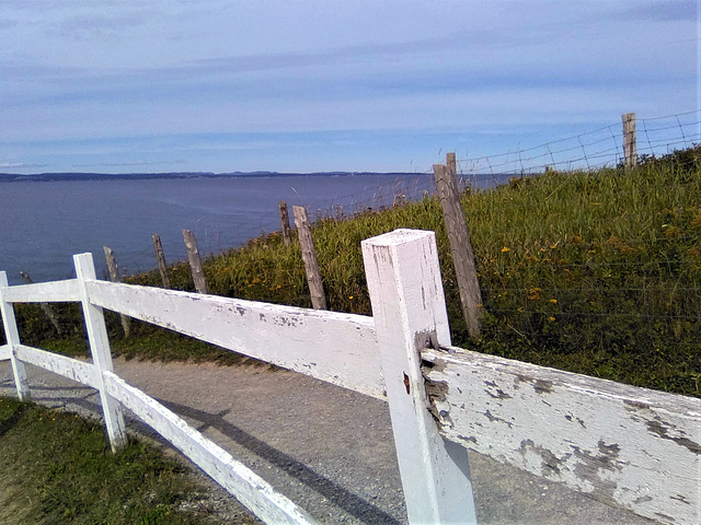 Mer et clôtures / Sea and fences