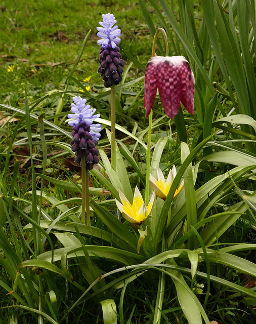 Der Frühling ist schon voll im Gange