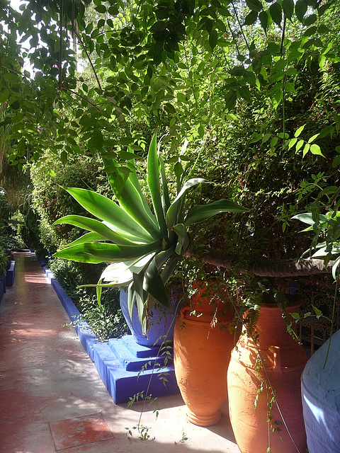 Jardin Majorelle