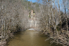 Die Wutachschlucht zwischen Wutachmühle u. Bachheim (04)