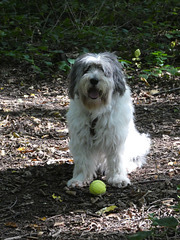 Lena im Wald