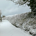 Snow dusted hedgerow, Moor Lane