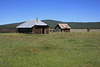 IMG 5629