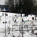 Sledging fun