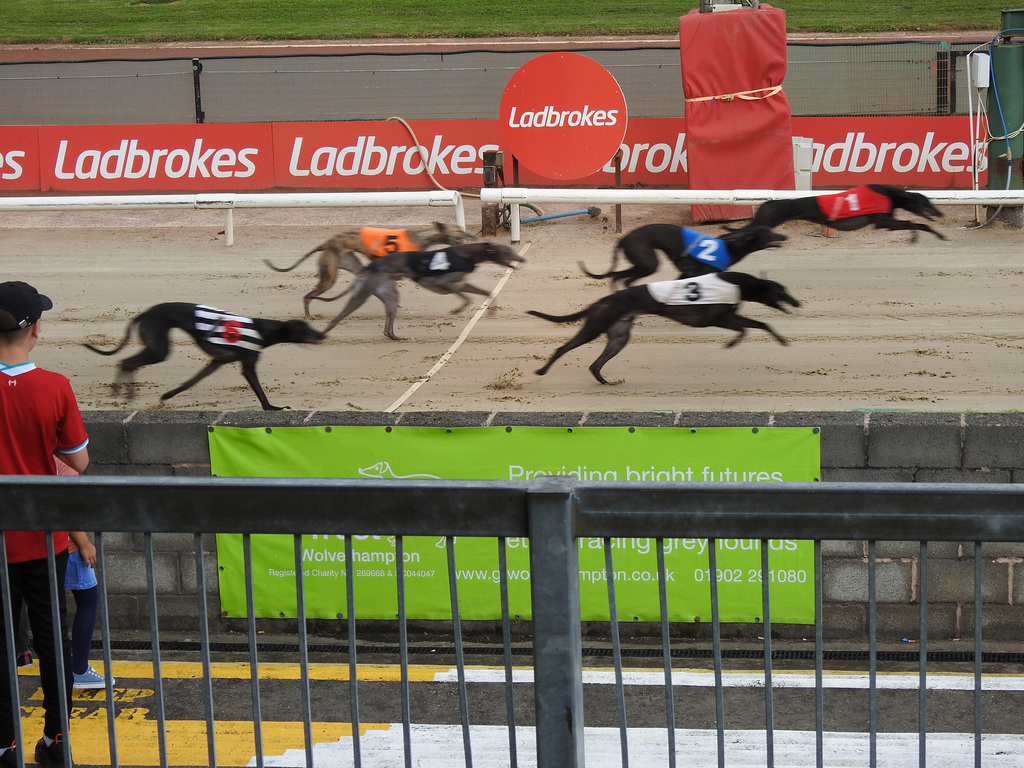 Monmore Green Greyhounds