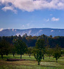 Cloud Wisps Settling Down to Earth