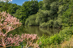 Heinzigteich auf der Landesgartenschau