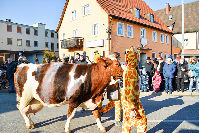 Pferdemarkt in Gaildorf 2017